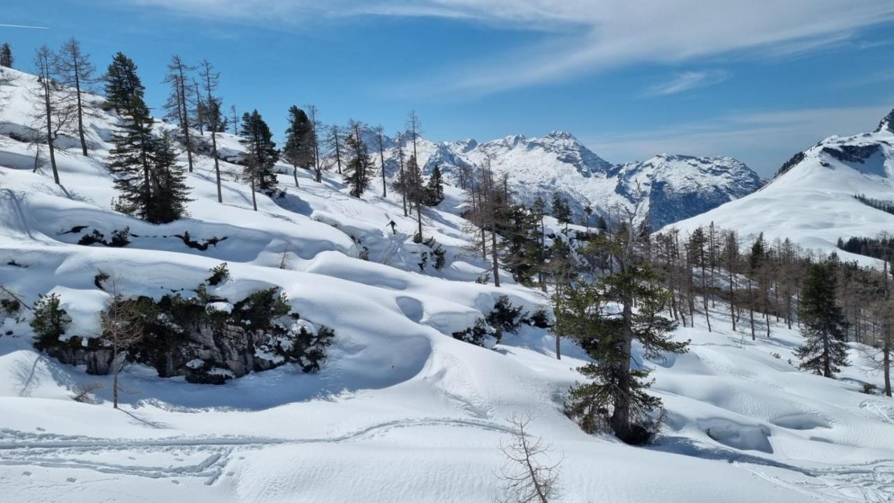 Pension Erlhof Saalfelden Buitenkant foto